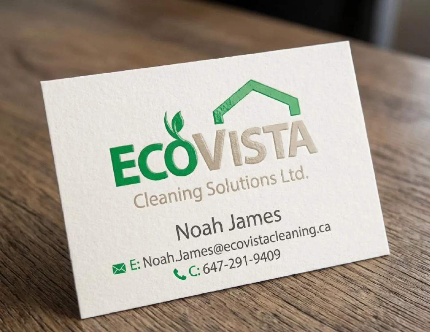 EcoVista Cleaning Solutions: Commercial Cleaning Brand Identity