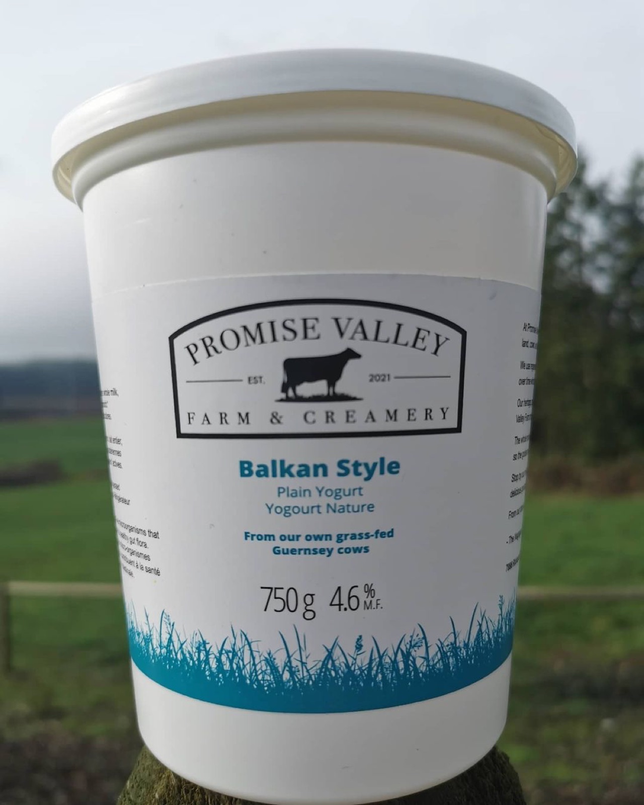 A close-up of the Balkan Style Promise Valley yogurt container showing the logo, flavour name, and teal grass silhouette